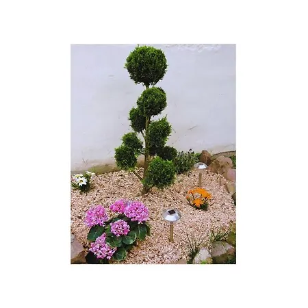 Appartamento Cosy Proche Centre *