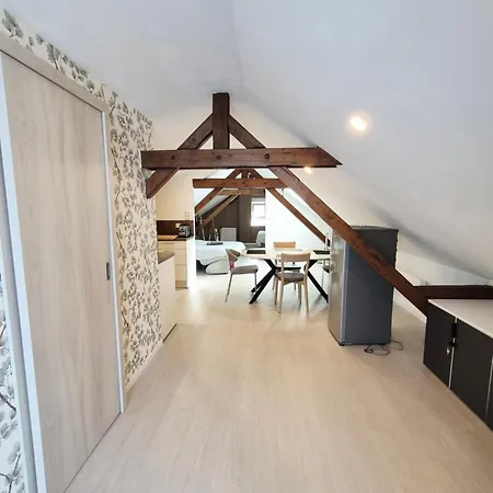 Cosy Proche Centre Apartamento Colmar