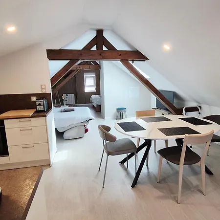Cosy Proche Centre كولمار