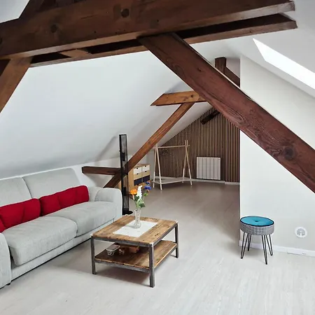 Lägenhet Cosy Proche Centre Colmar
