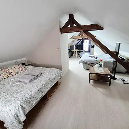 Cosy Proche Centre *